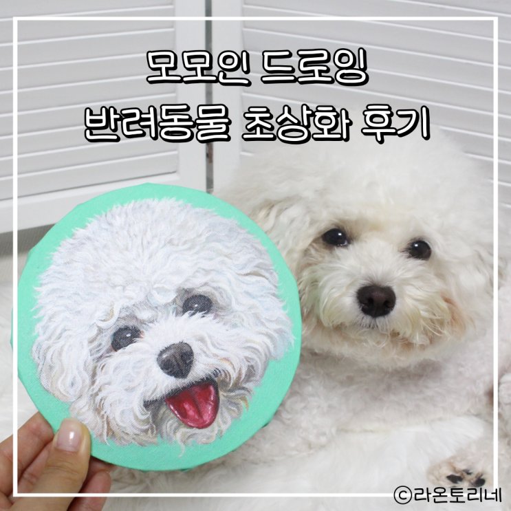 라온토리네